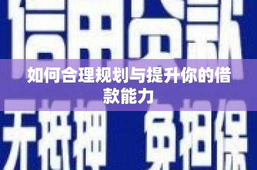 林甸如何合理规划与提升你的借款能力