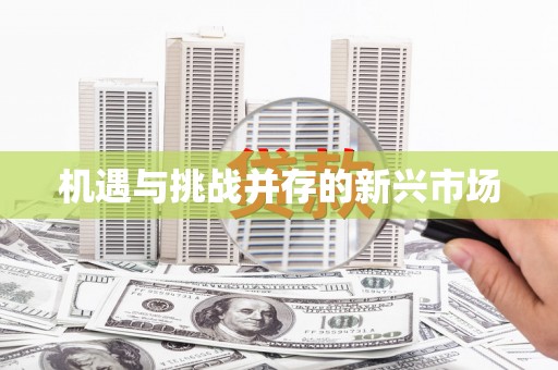 林甸机遇与挑战并存的新兴市场