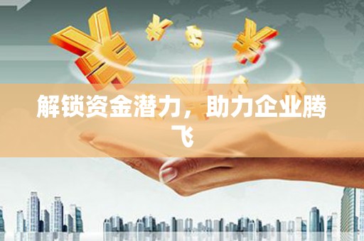 林甸解锁资金潜力，助力企业腾飞