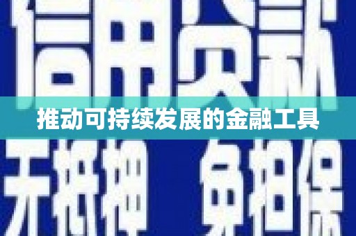 林甸推动可持续发展的金融工具