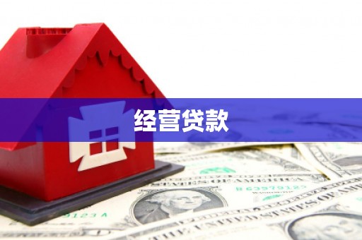 林甸经营贷款