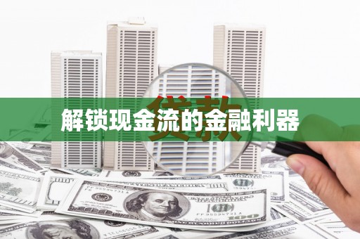 林甸解锁现金流的金融利器