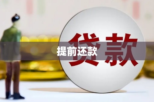 林甸提前还款