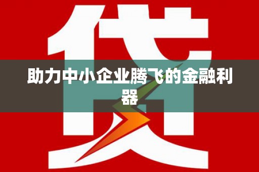 林甸助力中小企业腾飞的金融利器
