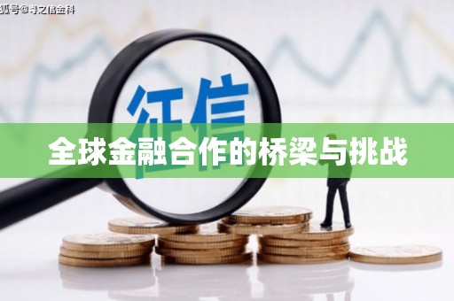 林甸全球金融合作的桥梁与挑战