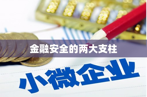 林甸金融安全的两大支柱