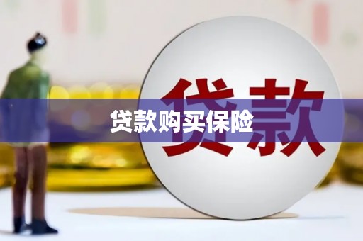 林甸贷款购买保险