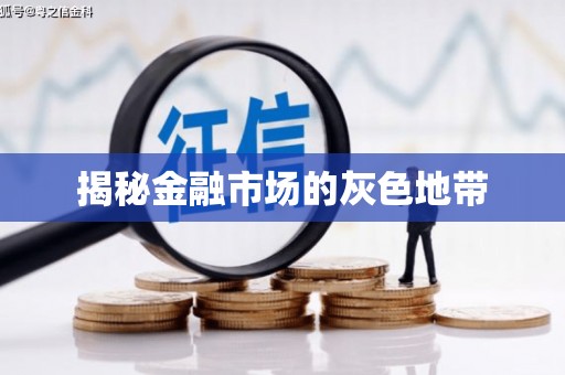 林甸揭秘金融市场的灰色地带