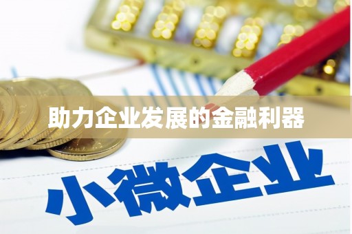 林甸助力企业发展的金融利器