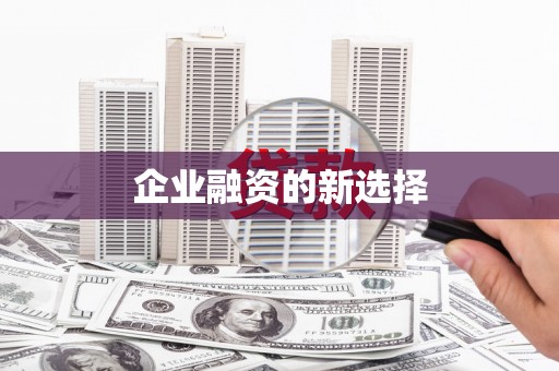 林甸企业融资的新选择