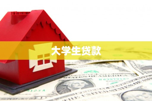 林甸大学生贷款