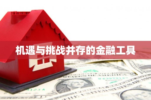 林甸机遇与挑战并存的金融工具