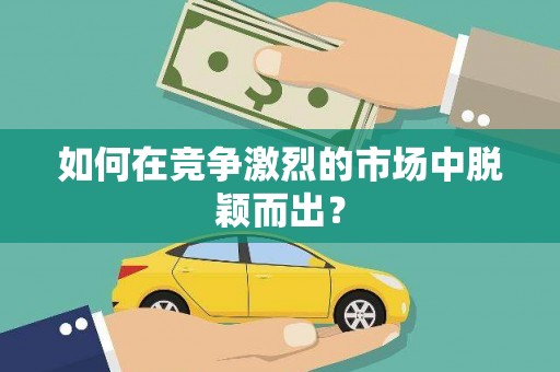 林甸如何在竞争激烈的市场中脱颖而出？