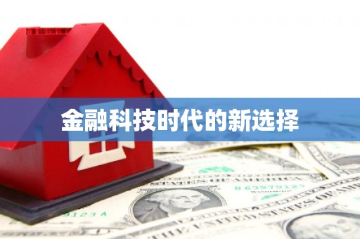 林甸金融科技时代的新选择