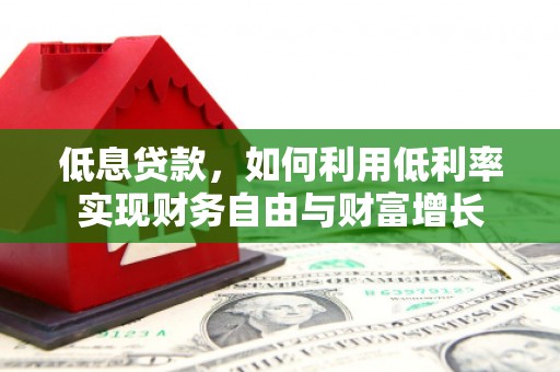 林甸低息贷款，如何利用低利率实现财务自由与财富增长