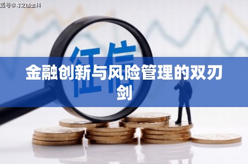林甸金融创新与风险管理的双刃剑