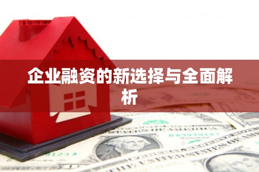 林甸企业融资的新选择与全面解析