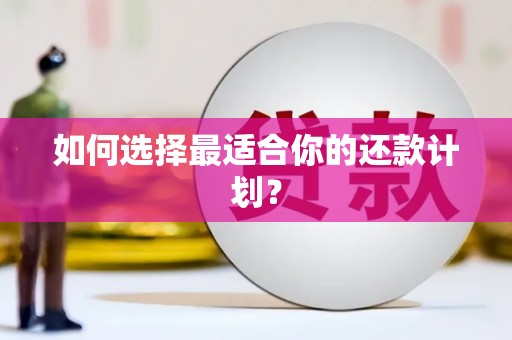 林甸如何选择最适合你的还款计划？