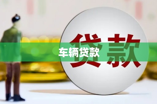 林甸车辆贷款