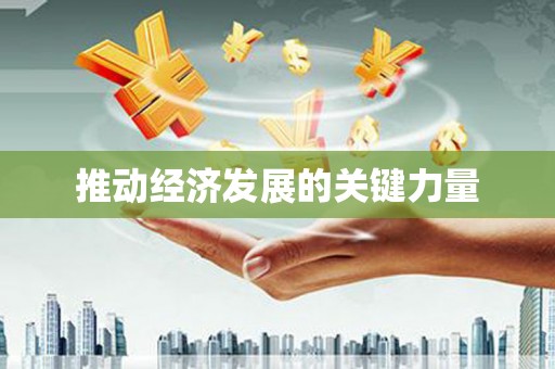 林甸推动经济发展的关键力量
