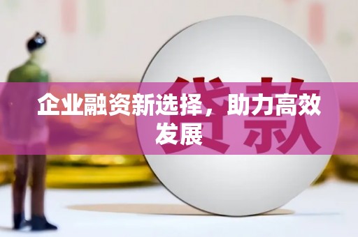 林甸企业融资新选择，助力高效发展