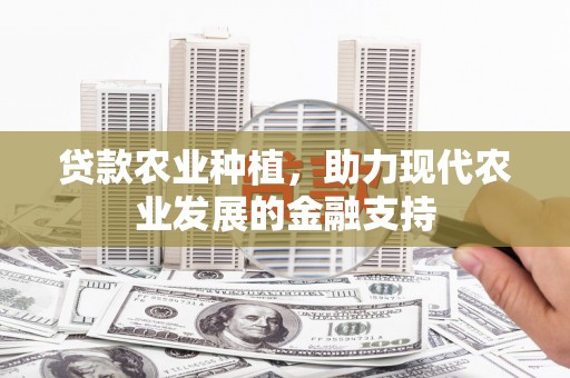 林甸贷款农业种植，助力现代农业发展的金融支持