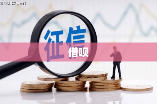 林甸借呗