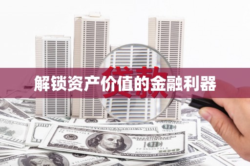 林甸解锁资产价值的金融利器