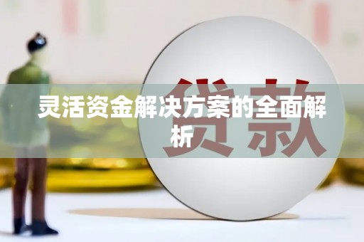 林甸灵活资金解决方案的全面解析