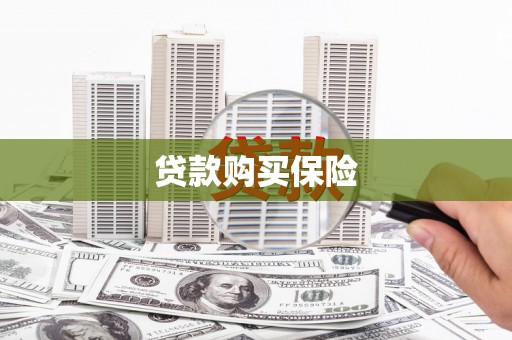 林甸贷款购买保险