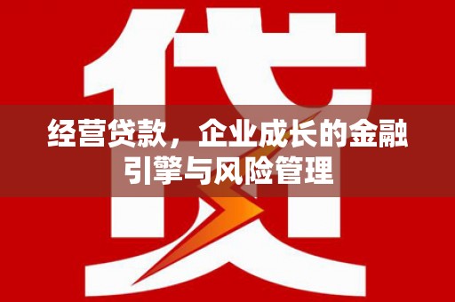林甸经营贷款，企业成长的金融引擎与风险管理