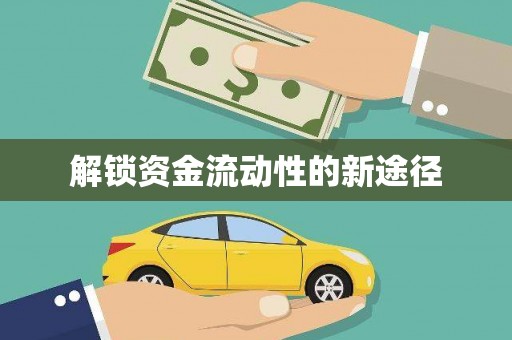 林甸解锁资金流动性的新途径