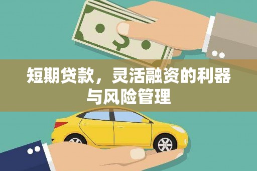 林甸短期贷款，灵活融资的利器与风险管理