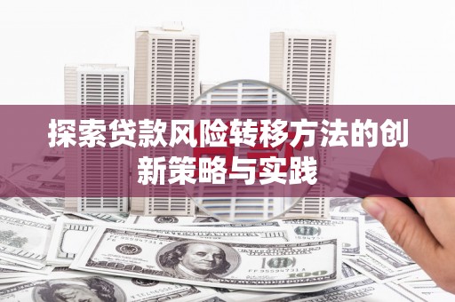 林甸探索贷款风险转移方法的创新策略与实践