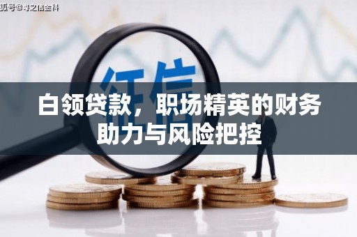 林甸白领贷款,职场精英的财务助力与风险把控 林甸白领贷款,职场精英的财务助力与风险把控