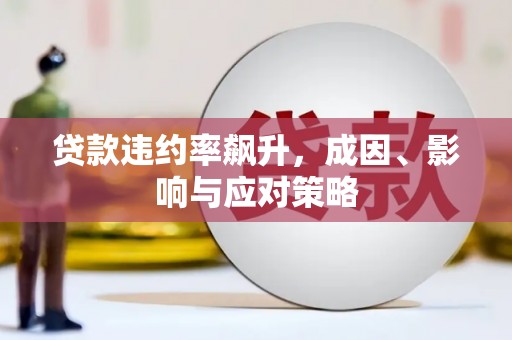 林甸贷款违约率飙升，成因、影响与应对策略