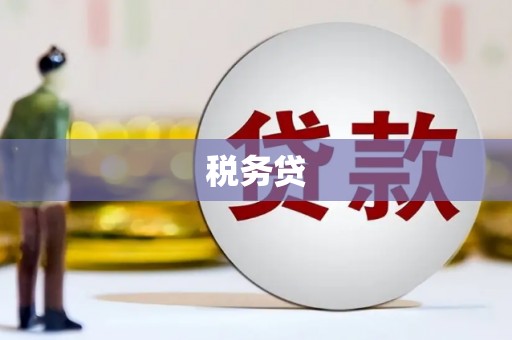 林甸税务贷
