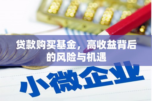 林甸贷款购买基金，高收益背后的风险与机遇